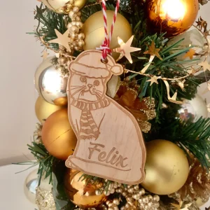 Personalised-Pet-Lover-Gift-Animal-lover-Christmas-Gift-Unique-Cat-Kitten-Horse-Pony-and-Fox-Christmas-Tree-Bauble-Decoration-cat